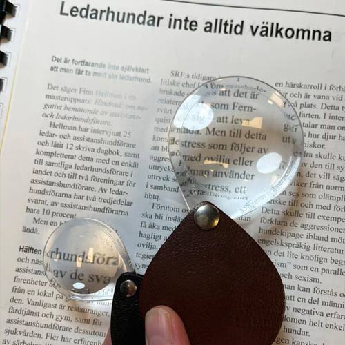 Ett förstoringsglas