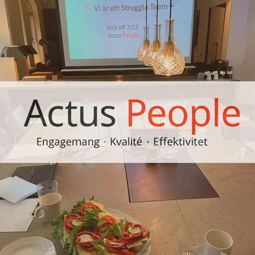 PLaneringsdag hos Actus People