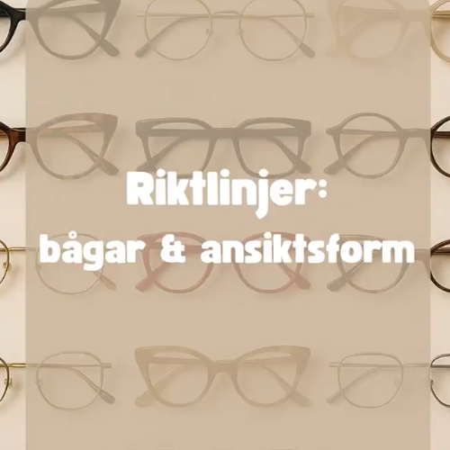 Riktlinjer